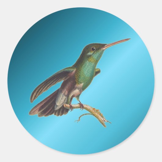 Natuur wilde vogels kolibrie ronde sticker (Voorkant)