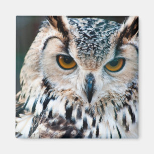Natuur Wildkalk Magneet