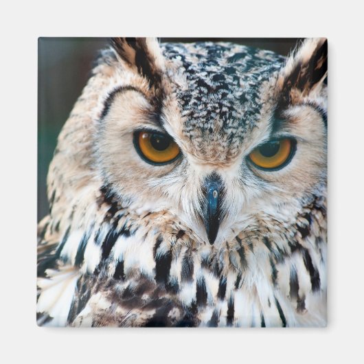 Natuur Wildkalk Magneet (Voorkant)