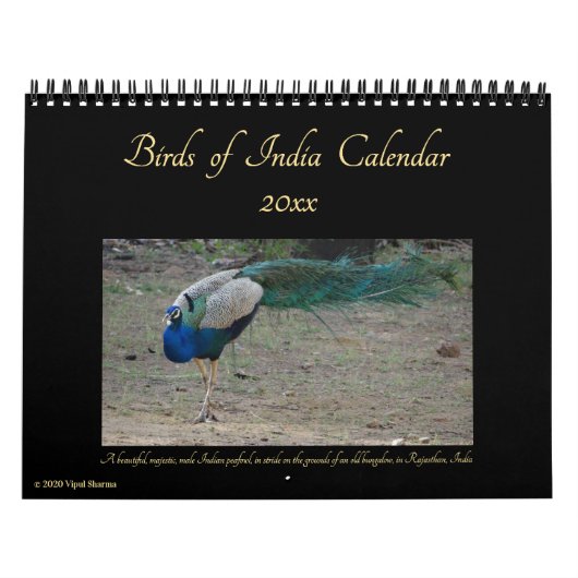 Natuur Wildlife Fotografie 2025-26 Kalender (Hoes)