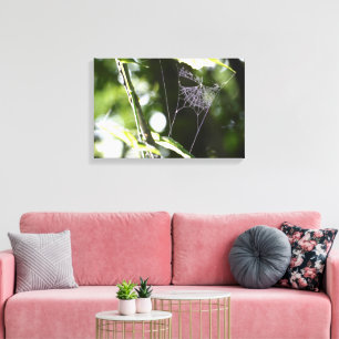 Natuur Wildlife Outdoor Spider Web Fotografie Kuns Canvas Afdruk
