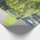 Natuur Willow River Pathway Foto Cadeaupapier (Hoek)