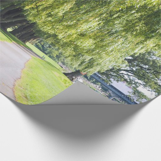 Natuur Willow River Pathway Foto Cadeaupapier (Hoek)