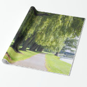 Natuur Willow River Pathway Foto Cadeaupapier (Uitgerold)