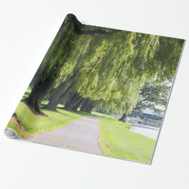 Natuur Willow River Pathway Foto Cadeaupapier