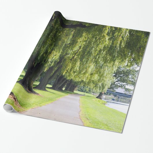 Natuur Willow River Pathway Foto Cadeaupapier (Uitgerold)