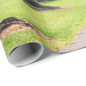 Natuur Willow River Pathway Foto Cadeaupapier (Rol Hoek)