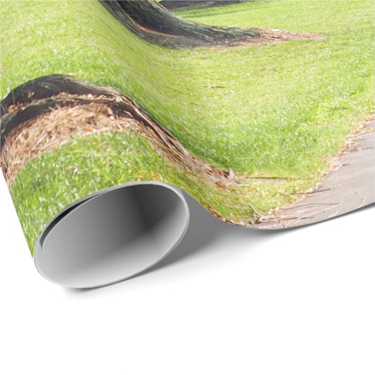 Natuur Willow River Pathway Foto Cadeaupapier (Rol Hoek)