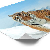 Natuur Winter Tiger Mountains Photo Snow Poster (Hoek)