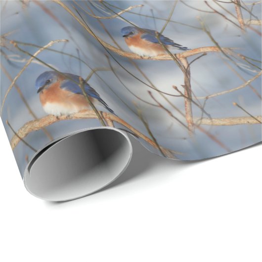 Natuur winterblauwvogel   cadeaupapier (Rol Hoek)