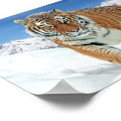 Natuur Winterfotosneeuw - Tiger Mountains Poster (Hoek)