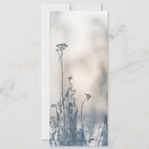 Natuur WinterPlanten Kaart