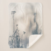 Natuur WinterPlanten