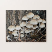 Natuur witte wilde paddenstoel legpuzzel (Horizontaal)