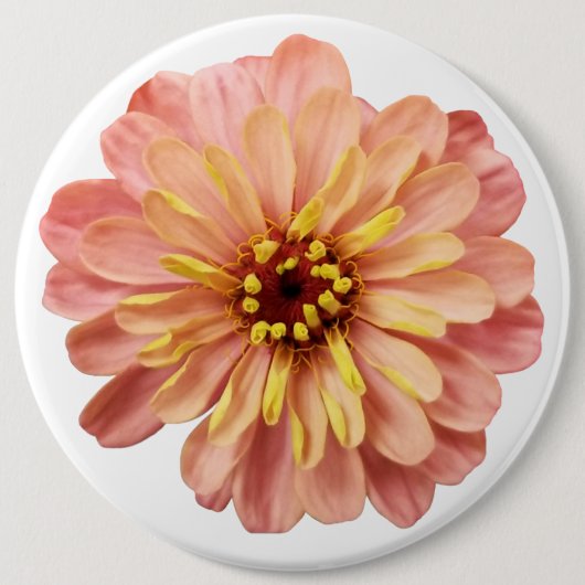 Natuur Zinnia Floral Flower Ronde Button 6,0 Cm (Voorkant)