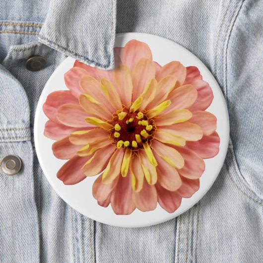 Natuur Zinnia Floral Flower Ronde Button 6,0 Cm (In situ)