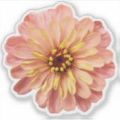 Natuur Zinnia Floral Flower Sticker (Voorkant)