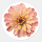 Natuur Zinnias Floral Flower Ronde Sticker (Voorkant)