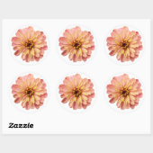 Natuur Zinnias Floral Flower Ronde Sticker (Vel)