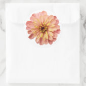 Natuur Zinnias Floral Flower Ronde Sticker (Tas)