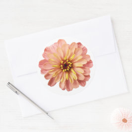 Natuur Zinnias Floral Flower Ronde Sticker