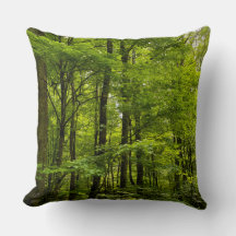 Natuur zomergroene bosfoto