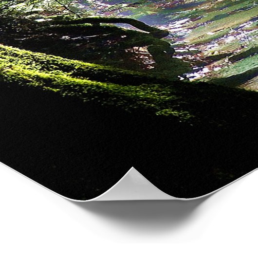 Natuur zonlicht door bomen op Creek Poster (Hoek)