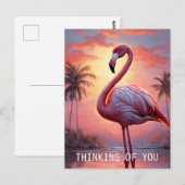 Natuur Zonsondergang Roze Flamingo Briefkaart (Voorkant / Achterkant)