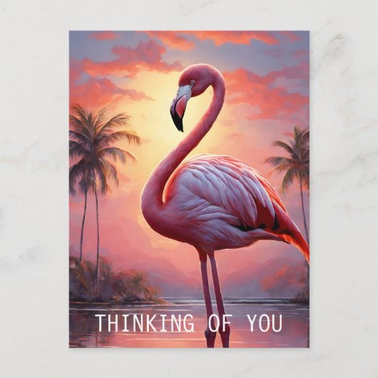 Natuur Zonsondergang Roze Flamingo Briefkaart (Voorkant)