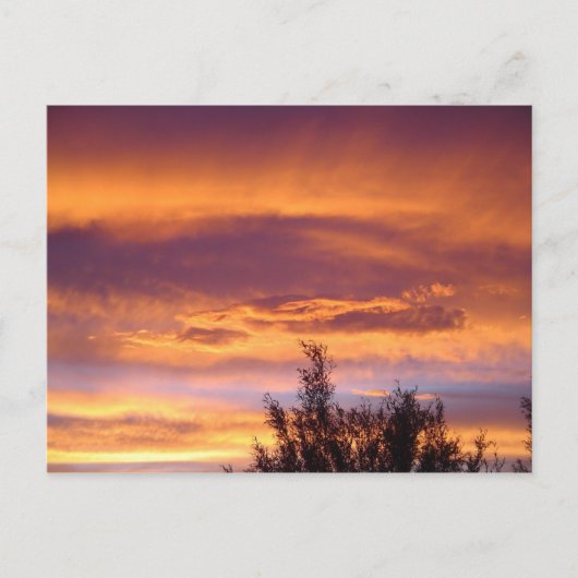 Natuur Zonsondergangen Briefkaart (Voorkant)