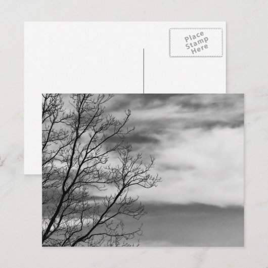 Natuur zwart-wit landschap Foto Briefkaart (Voorkant / Achterkant)