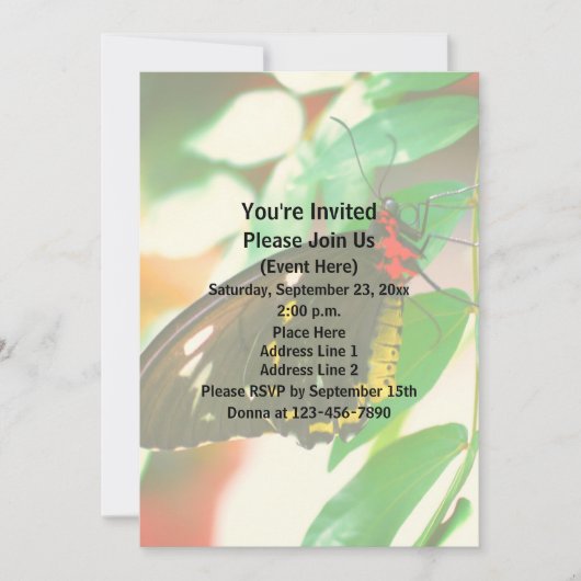 Natuur zwarte vlinder kaart (Voorkant)