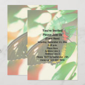 Natuur zwarte vlinder kaart (Voorkant / Achterkant)