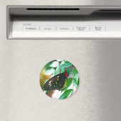 Natuur zwarte vlinder magneet (Insitu (Vaatwasser))