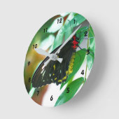 Natuur zwarte vlinder ronde klok (Hoek)