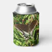 Natuur zwarte zweetstaafvlinder Fotografie Blikjeskoeler (Blikje Achterkant)