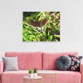 Natuur zwarte zweetstaafvlinder Fotografie Canvas Afdruk (Insitu (Woonkamer))