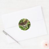 Natuur zwarte zweetstaafvlinder Fotografie Ronde Sticker (Envelop)