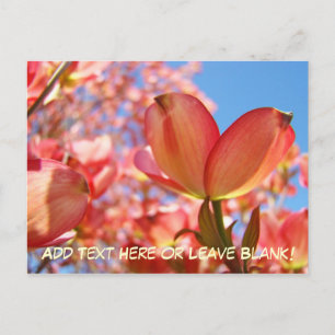 Natuuransichtkaarten Aangepaste Dobwood Bloemen Briefkaart