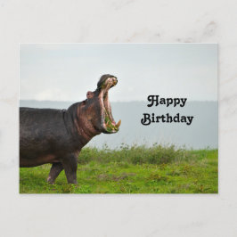 Natuurbeeld Nijlpaard Foto Verjaardag Briefkaart