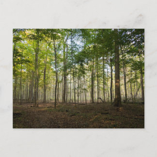 Natuurbeelden op ansichtkaarten briefkaart