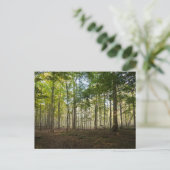 Natuurbeelden op ansichtkaarten briefkaart (Staand voorkant)