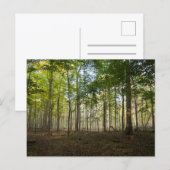 Natuurbeelden op ansichtkaarten briefkaart (Voorkant / Achterkant)