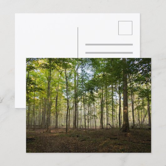 Natuurbeelden op ansichtkaarten briefkaart (Voorkant / Achterkant)