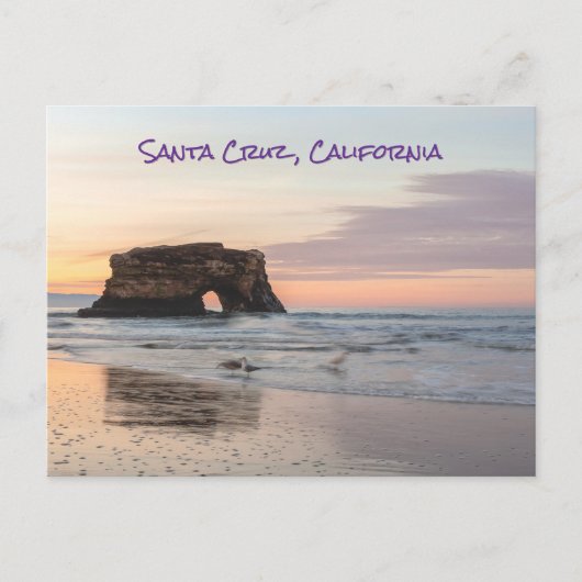 Natuurbrug Briefkaart (Voorkant)