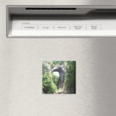 Natuurbrug Magneet (Insitu (Vaatwasser))