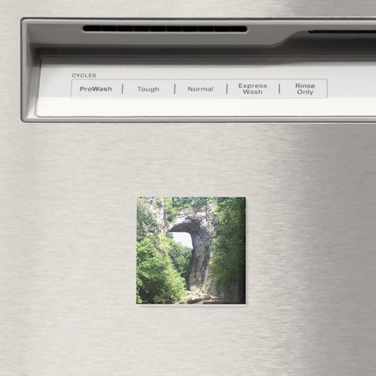 Natuurbrug Magneet (Insitu (Vaatwasser))