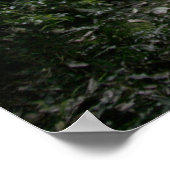 Natuurbrug Poster (Hoek)