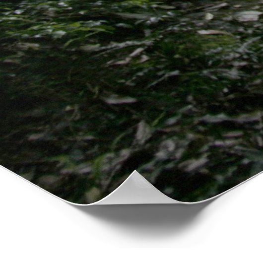 Natuurbrug Poster (Hoek)