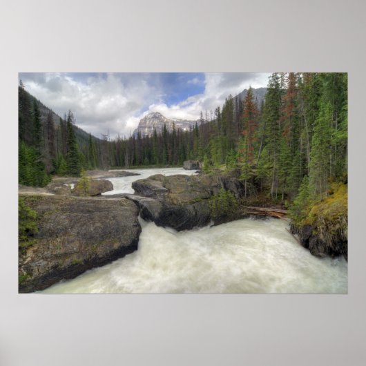 Natuurbrug Poster (Voorkant)